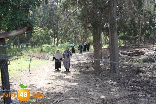 3emwas 0319 (71).JPG